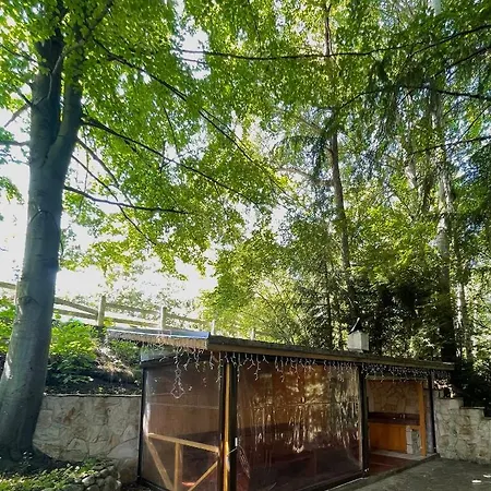 Alexa Villa Borovets