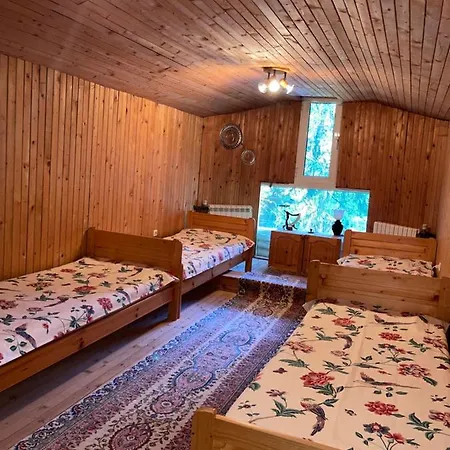 Alexa * Boroveț