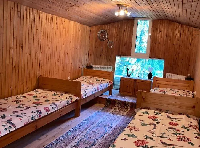 Alexa * Боровец